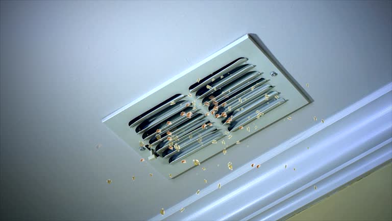 Best Dryer Vent Cleaning Services  in Pea Ridge, FL