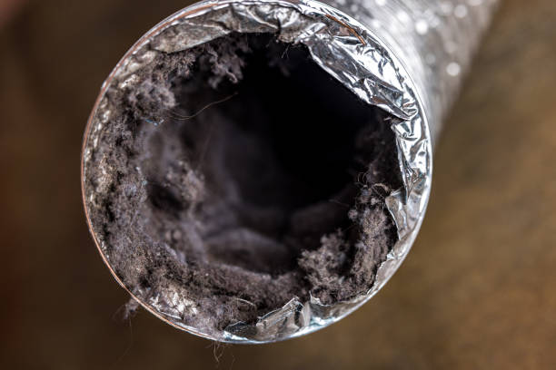 Best Ventilation Cleaning Services  in Pea Ridge, FL