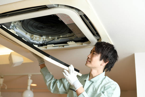 Best Home Air Vent Cleaning  in Pea Ridge, FL